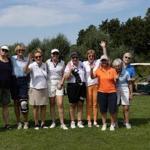 Gvoorg competititie